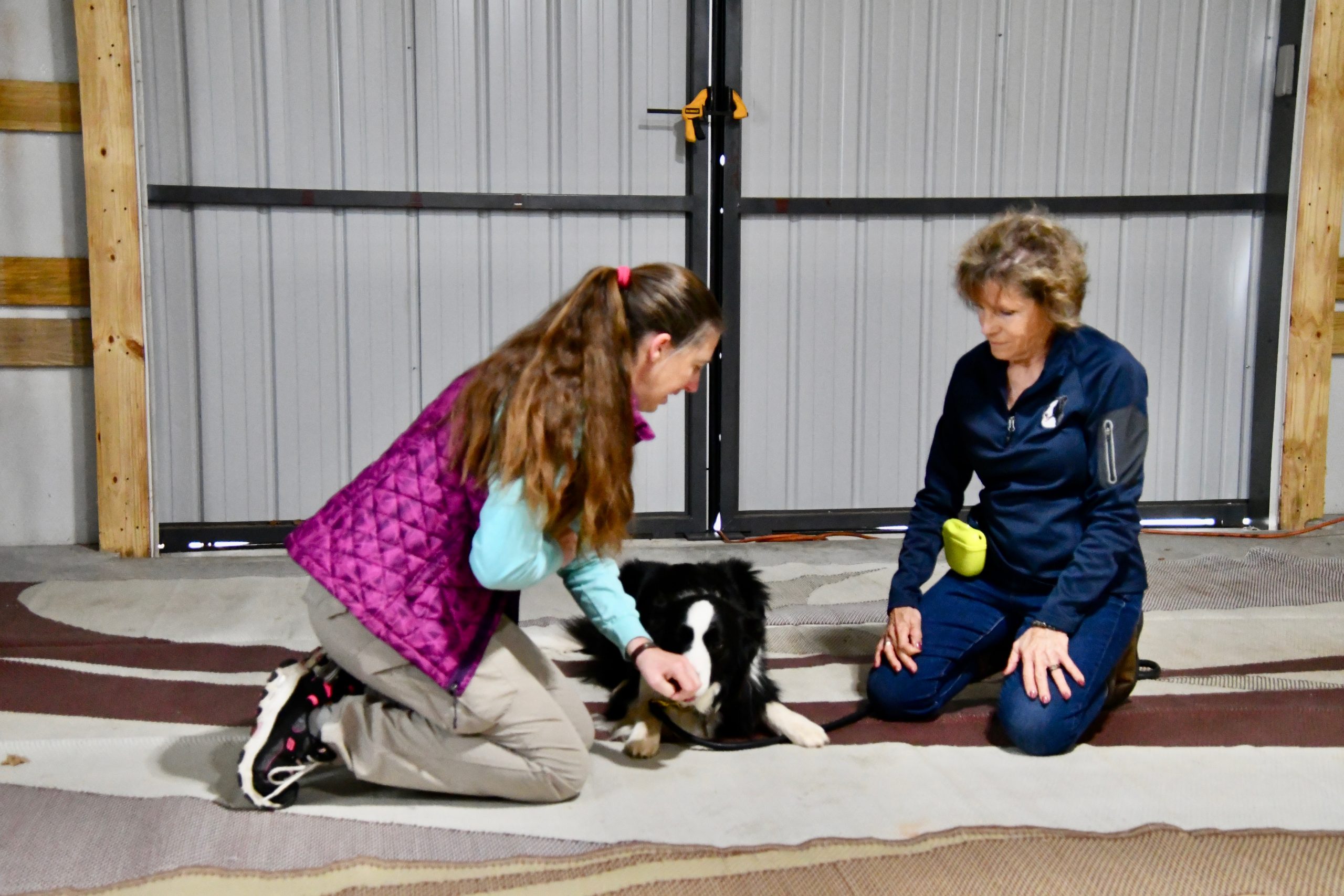 Dog trainer working with owner and Border Collie