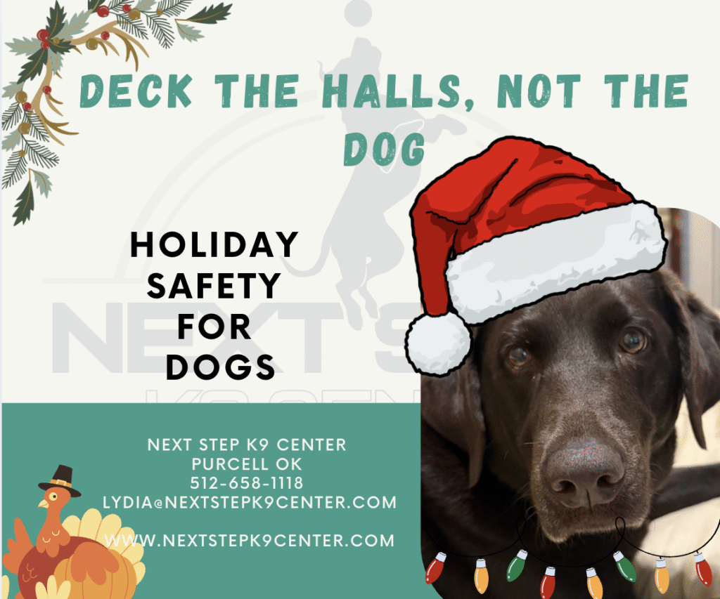 Seasonal graphic featuring a dog, Christmas décor, and safety messaging for dog owners.