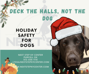 Seasonal graphic featuring a dog, Christmas décor, and safety messaging for dog owners.