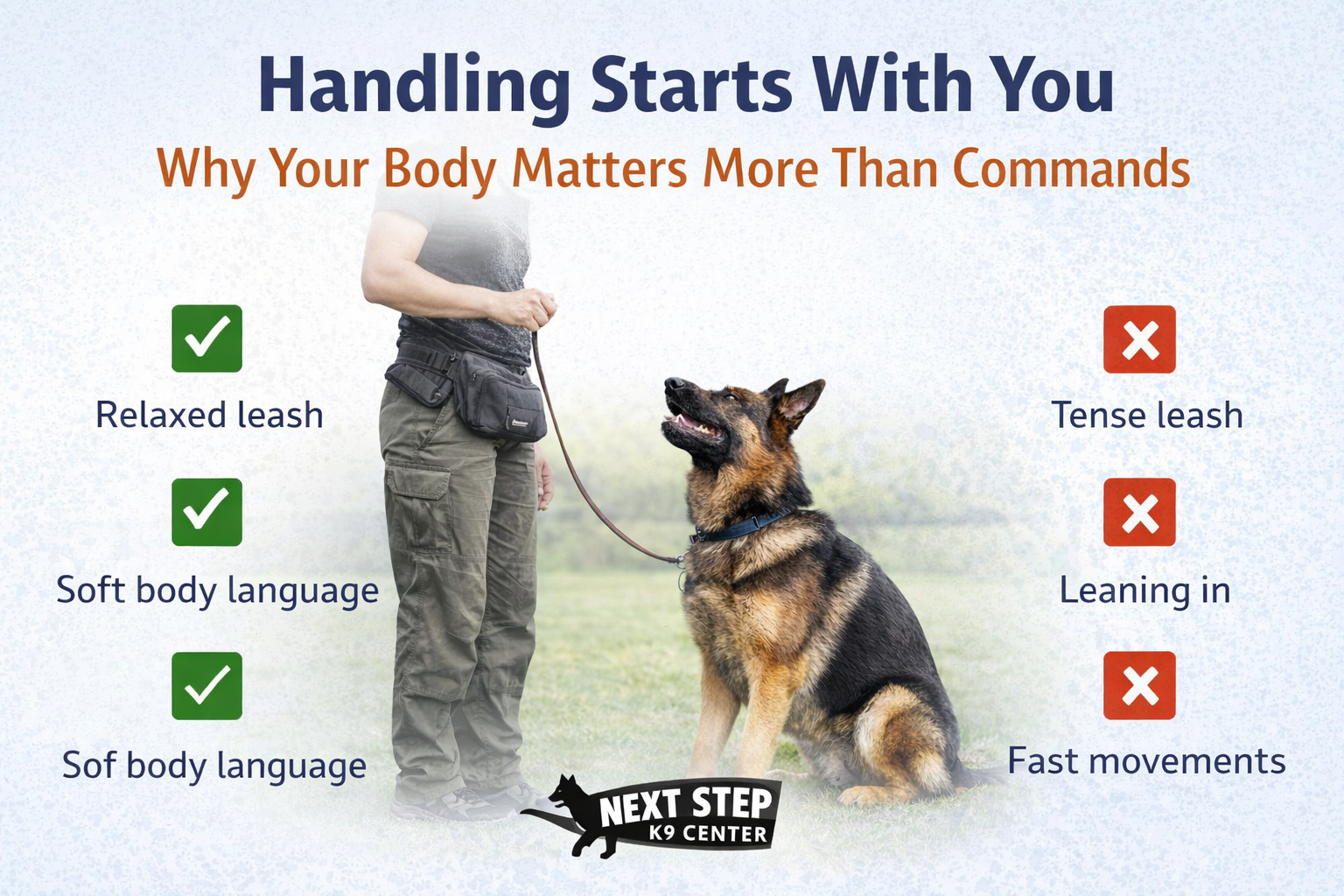 dog-with-hanlder-training